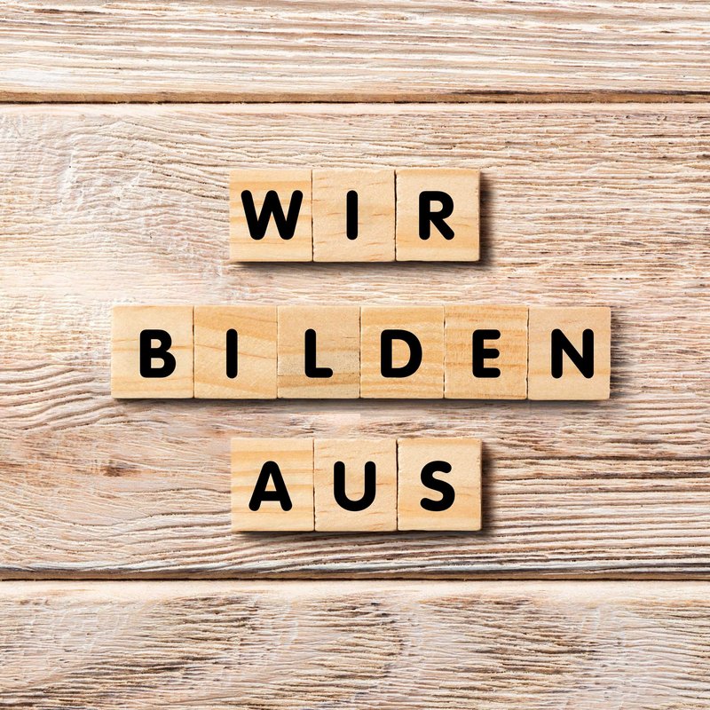 Holzhintergrund mit Würfel auf denen Buchstaben stehen welche den Worten wir bilden aus ergeben