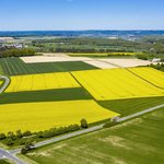 Ein Luftbild von Ackerfläche hauptsächlich Rapsfelder