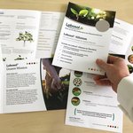 Collage aus verschiedenen Flyern mit einer Hand die einen Flyer hält