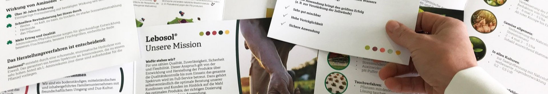 Collage aus verschiedenen Flyern mit einer Hand die einen Flyer hält