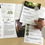 Collage aus verschiedenen Flyern mit einer Hand die einen Flyer hält