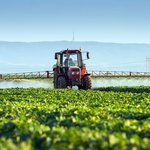 Traktor mit Feldspritze fährt über Gemüsefeld und sprüht.