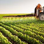 Ein Traktor mit Spritze fährt über ein Sojabohnenfeld.
