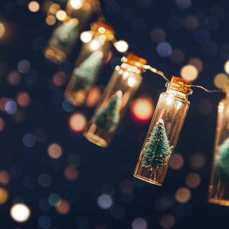 Girlande mit kleinen Tannenbäumen in Fläschen und Lichtern.