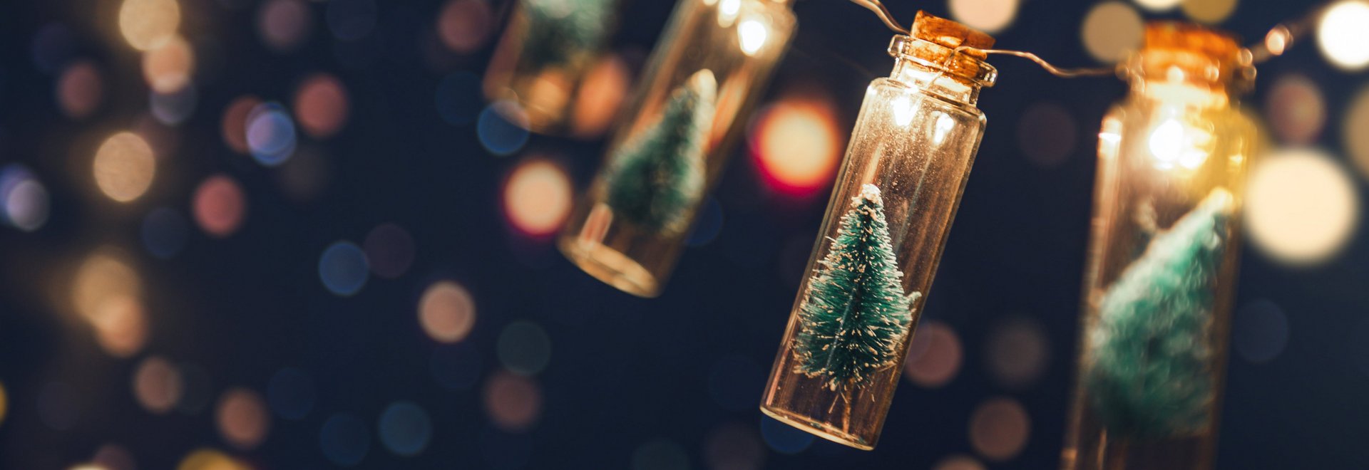 Girlande mit kleinen Tannenbäumen in Fläschen und Lichtern.