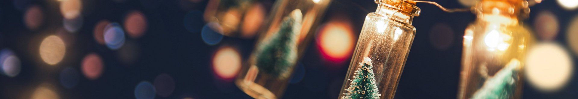 Girlande mit kleinen Tannenbäumen in Fläschen und Lichtern.