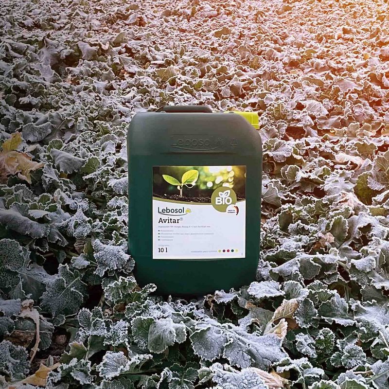 Ein 10 Liter Kanster Avitar® von Lebosol® steht bei Kälte und Frost auf einem Feld Raps