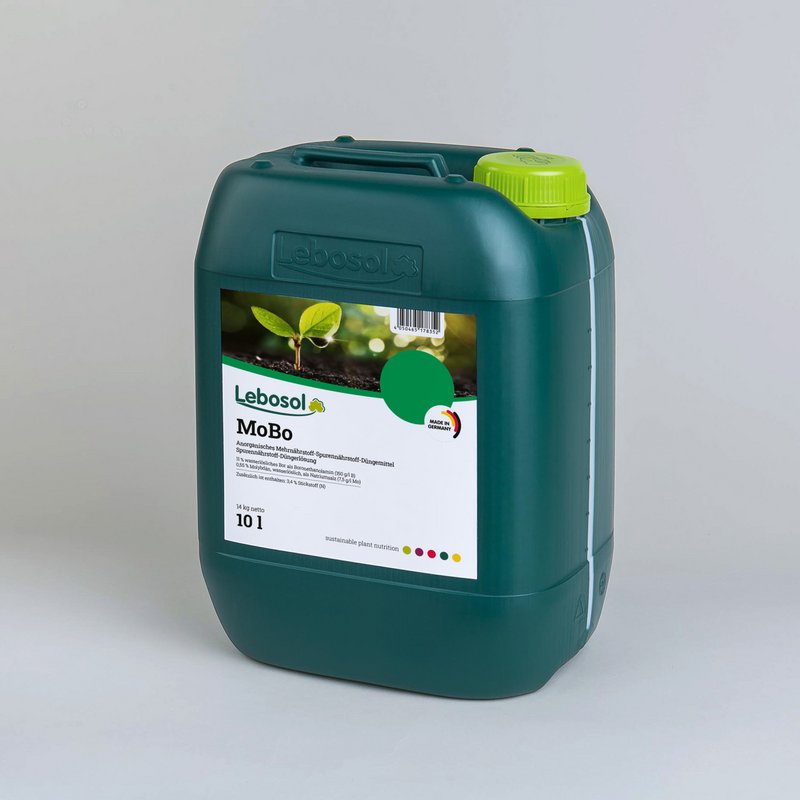 Grüner Kanister mit Etikett von Lebosol® vor grau-weißem Hitnergrund.