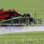 Düngemittel spritzen Maschine mit Düsen welche über ein Feld mit kleinen Pflanzen fährt und Flüssigdünger ausbringt