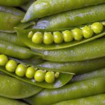 Offene und geschlossene Erbsenschoten auf einem Haufen