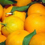 Reife Orangen Nahaufnahme von vielen reifen Orangen