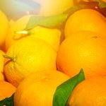 Nahaufnahme von vielen reifen Orangen