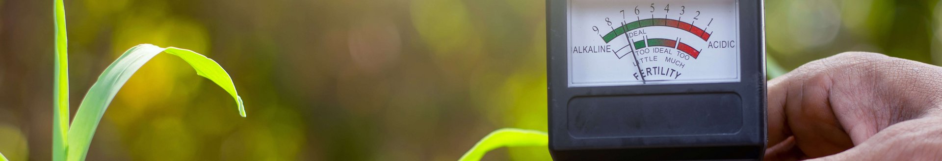 Bodenmessgerät zur Ermittlung des pH-Werts im Boden wird in den Boden gesteckt, kleine Pflänzchen im Hintergrund zu erkennen