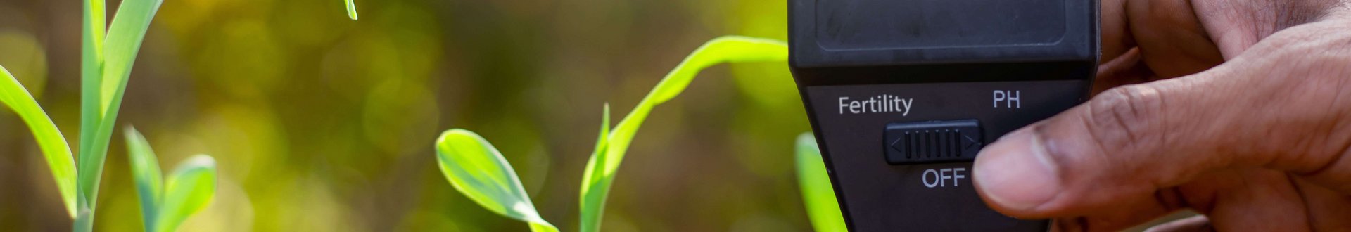 Bodenmessgerät zur Ermittlung des pH-Werts im Boden wird in den Boden gesteckt, kleine Pflänzchen im Hintergrund zu erkennen