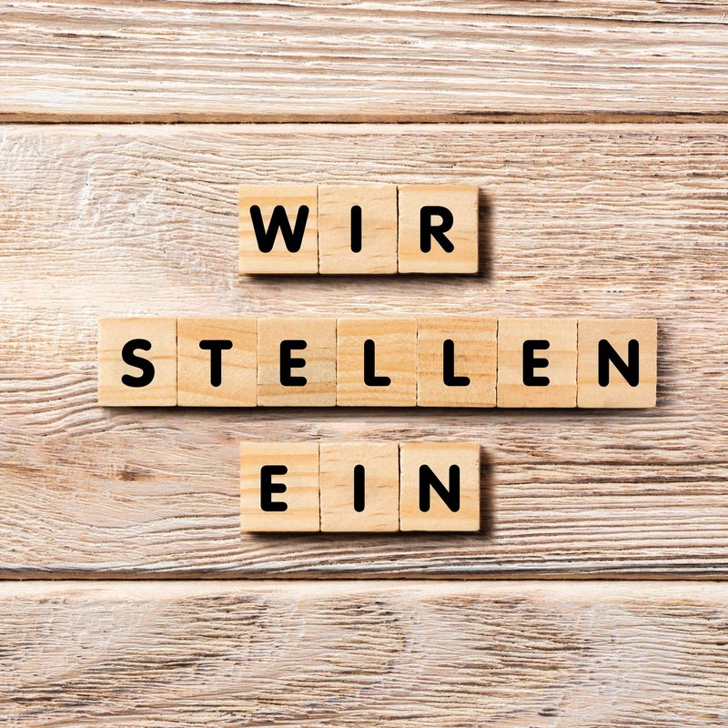 Holzhintergrund mit Würfel auf denen Buchstaben stehen welche den Worten wir stellen ein ergeben