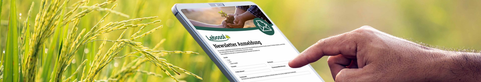 Ein Man hält auf einem Getreidefeld ein Tablet in der Hand auf der die Anmeldung zum Lebosol Newsletter zu sehen ist.
