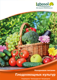 PDF Catalog Cover Fruits and vegetable